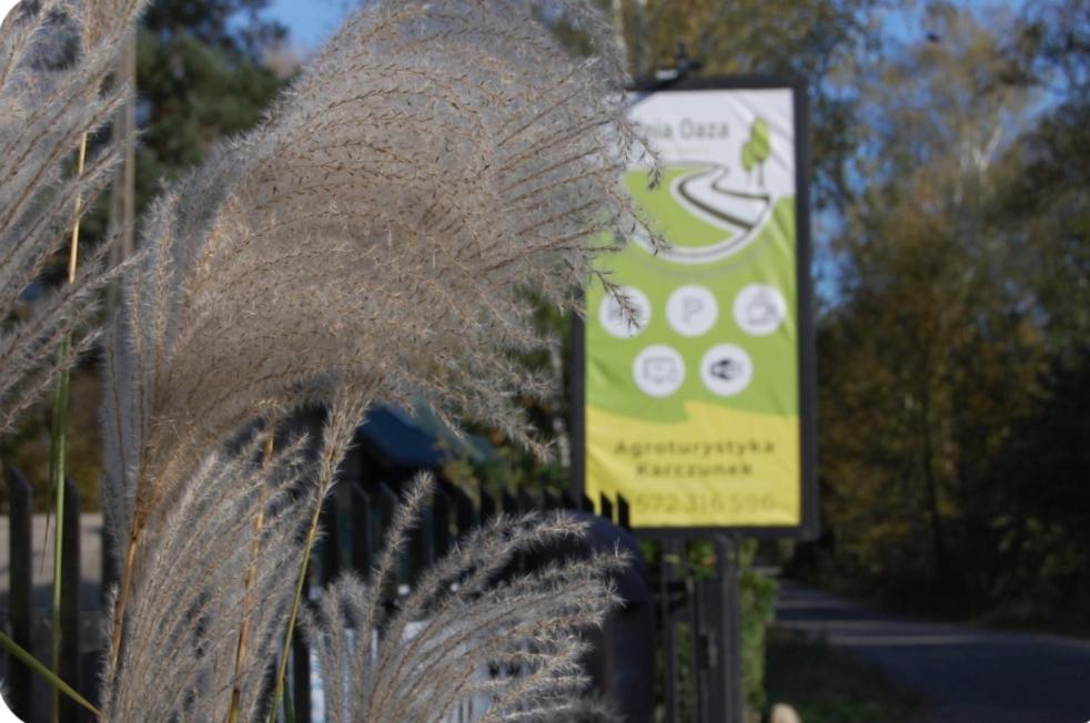 Villa Wypoczynek Letnia Oaza Sobienie Jeziory Exterior foto